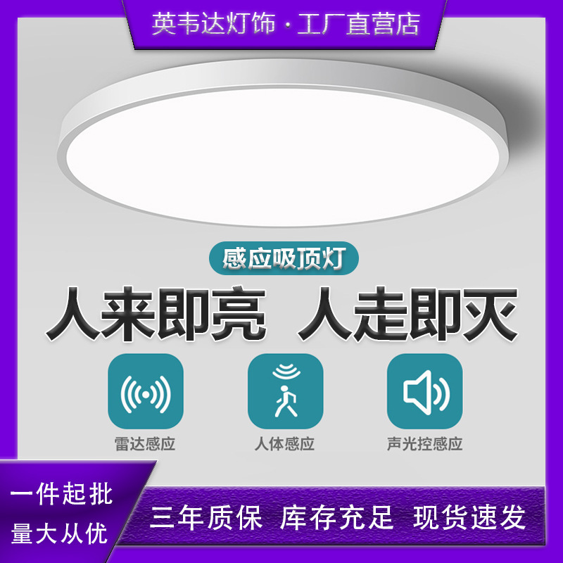 Induction Ceiling Light, Stairway Light, Corridor Light, Infrared Human Body Radar Sensor Light, Intelligent Voice-Controlled Light Induction Ceiling Light, Stairway Light, Corridor Light, Infrared Human Body Radar Sensor Light, Intelligent Voice-Controlled Light