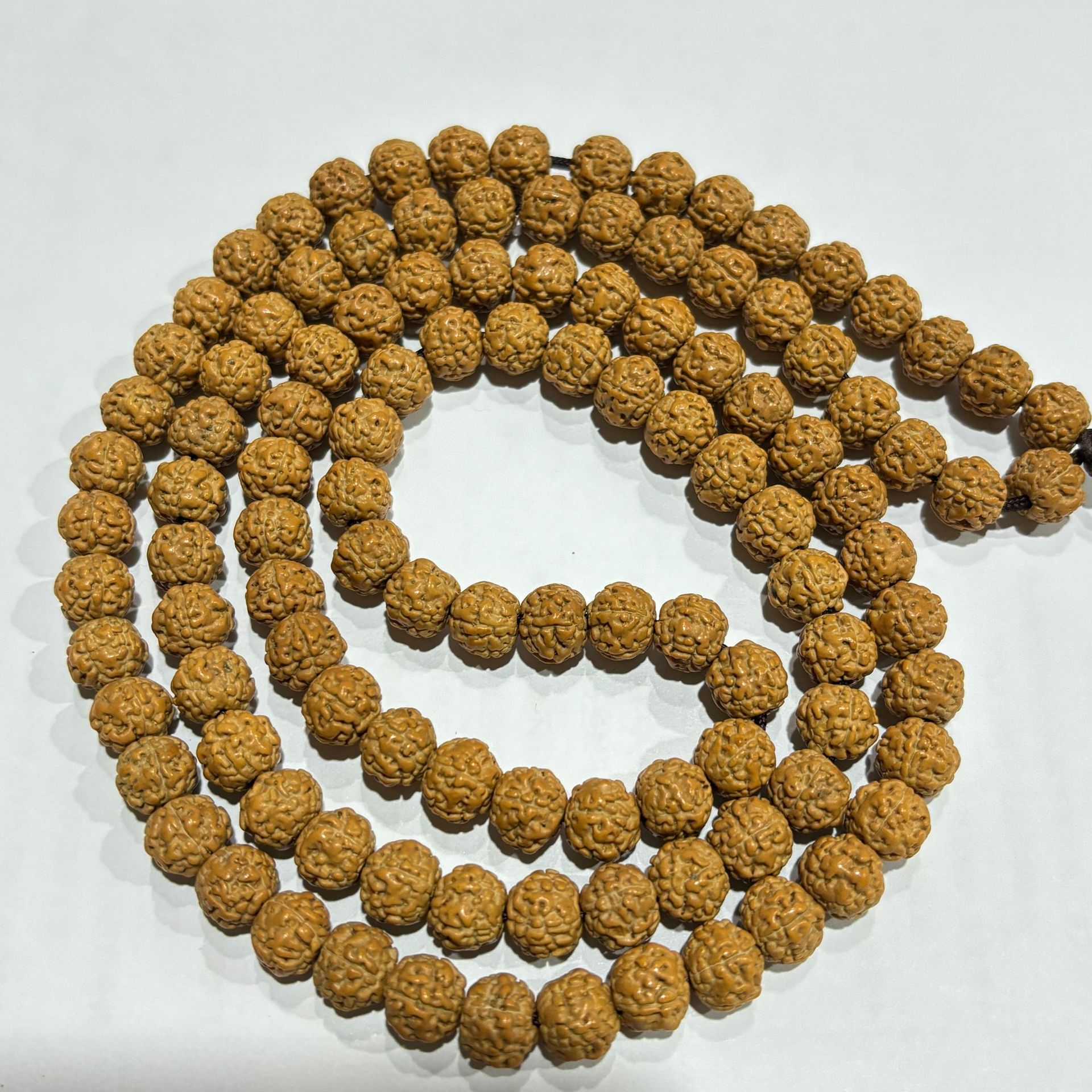 King Kong Bodhi 10