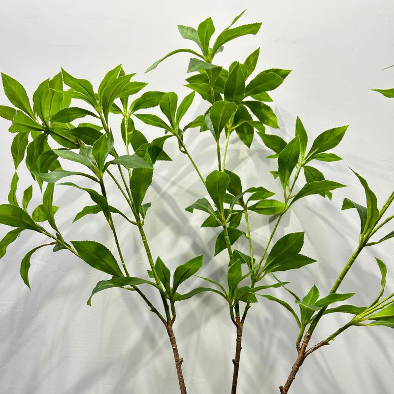 緑植馬酔木室内客間に偽の枝葉を飾る緑植着地装飾シミュレーション植物鉢植え|undefined
