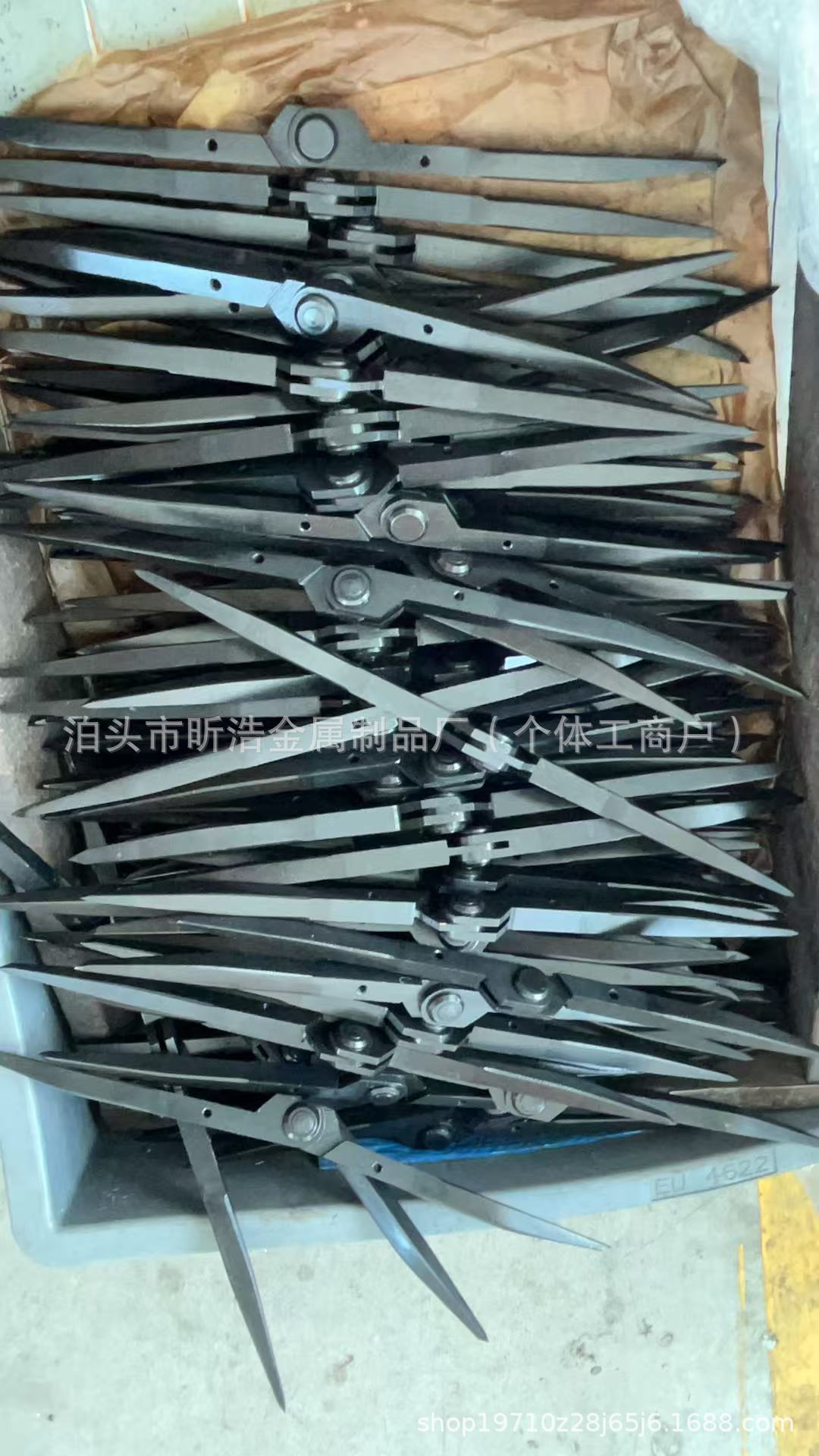 微信图片_20250618214648