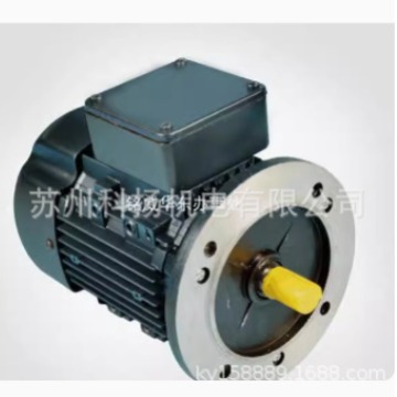 THREE PHASE INDUCTION MOTOR电机 YSJ8024 0.75KW YSJ90L4 1.5KW
