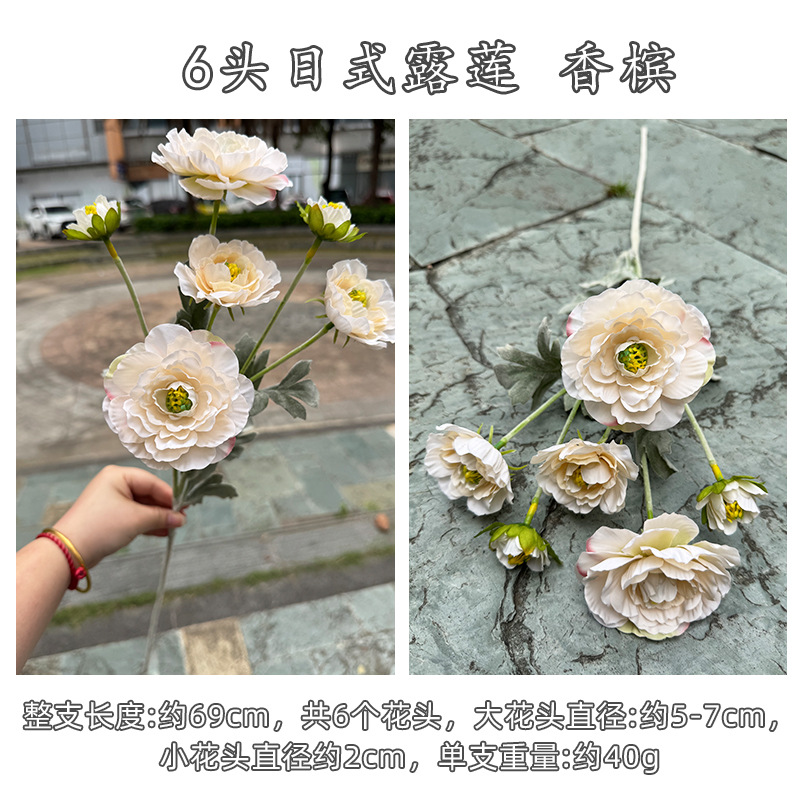 샴페인