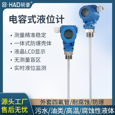 硕豪射频电容液位计插入式防腐耐高温液位传感器耐酸碱水位变送器