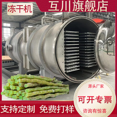 大型凍結乾燥商用設備ステンレス食品真空凍結乾燥生産ラインリンゴ真空凍結乾燥機