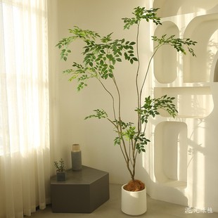 ����Gֲ���Դ�������ܘ��辰�����L�҃���͏d�Ҿ��b٘�ֲ��