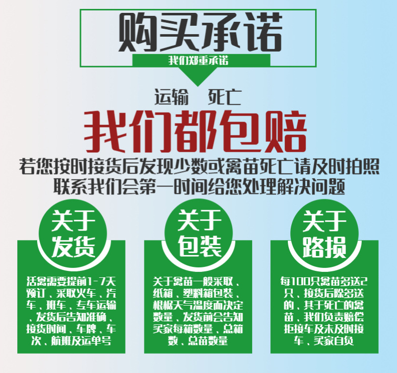 鹅-13.jpg