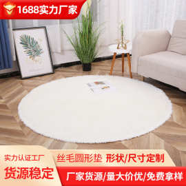 现代简约丝毛圆形地毯室内卧室客厅PV绒地毯可水洗厂家批发跨境货