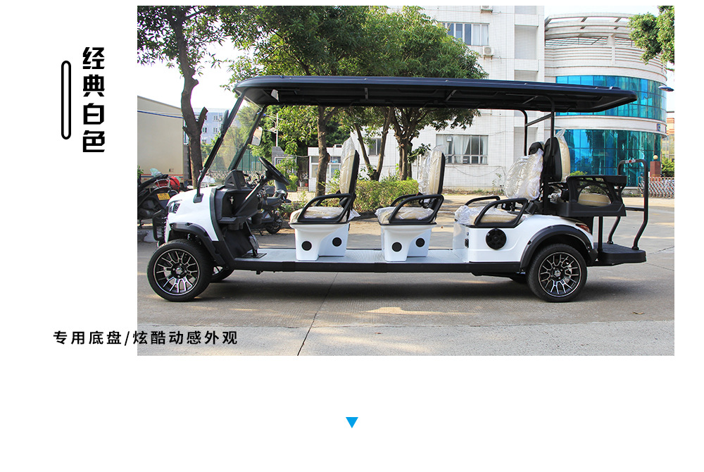 2-8 Seat Golf Carts for Export to Tourist Attractions, Property Parks, Hotel Shuttles, Sightseeing Vehicles, and Community Patrol Vehicles