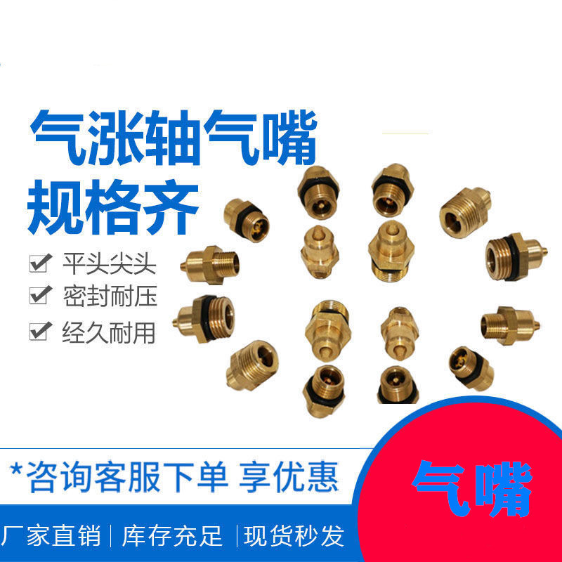 铜气涨轴尖头气嘴 尖头气涨轴气嘴 充气嘴 气涨轴充气嘴平头气嘴