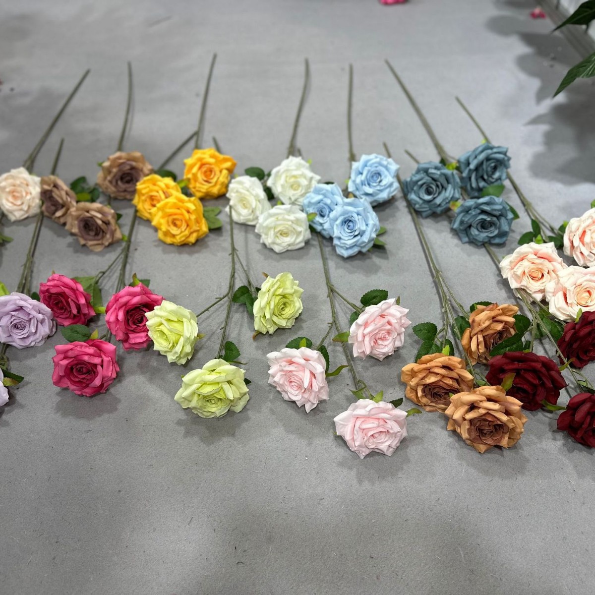 맨 위 녹색 줄, 왼쪽 세 번째 줄