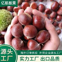 ̩ɽ���r�����40-60/30-40/40-50KG