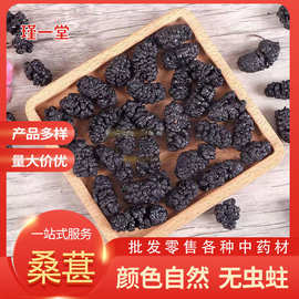 无沙黑桑葚 批发黑桑葚干新货黑桑葚批发零售 散装500g现货直发