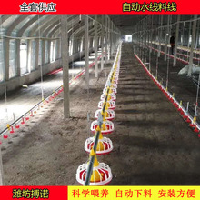 ���Z�Ͼ��ϱP�S�� ���u���ϱP �u���Ͼ� ���u������ϵ�y