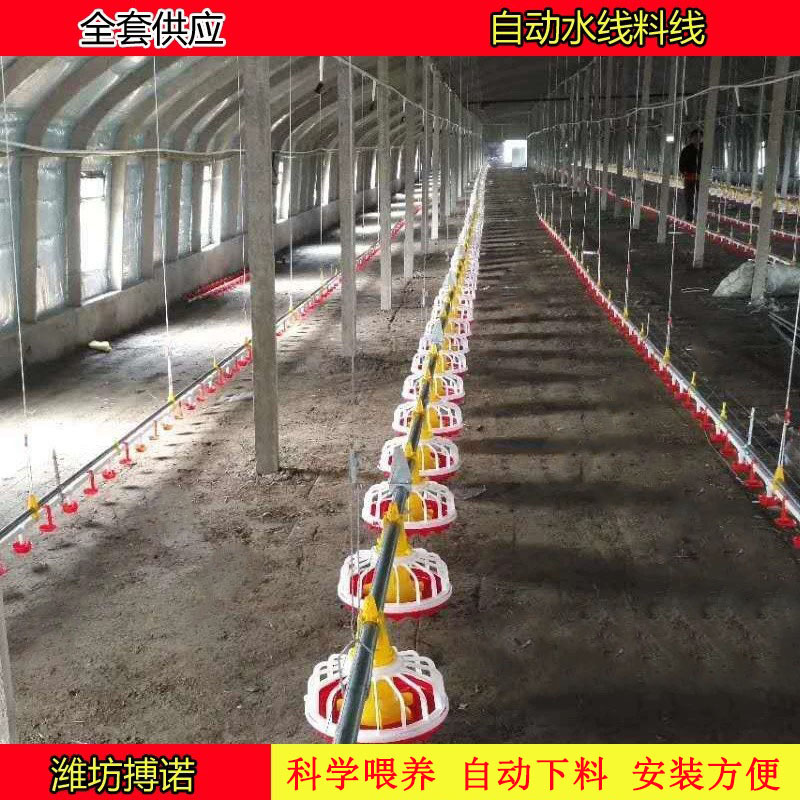 搏诺料线料盘厂家 肉鸡用料盘 鸡用料线 肉鸡自上料系统