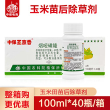 �б��rș 4%���׻�¡������� һ�����s�����׵س��݄�100ml*40ƿ