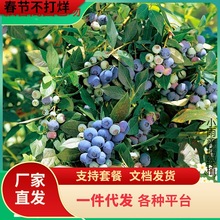 һ�����l�{ݮ��������w�����򎧻�������ͥԺ�̨���箔��Y����