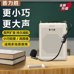 跨境小蜜蜂扩音器蓝牙老师讲课场外活动导游降噪大音量小巧喊话机