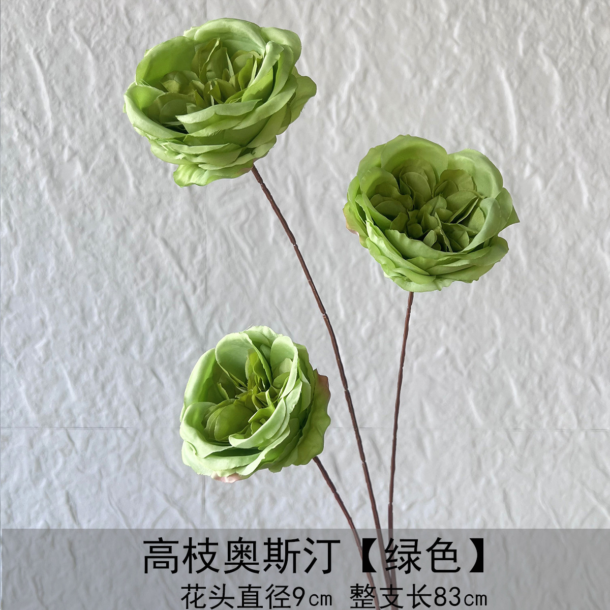 Gao Zhi Austin - verde