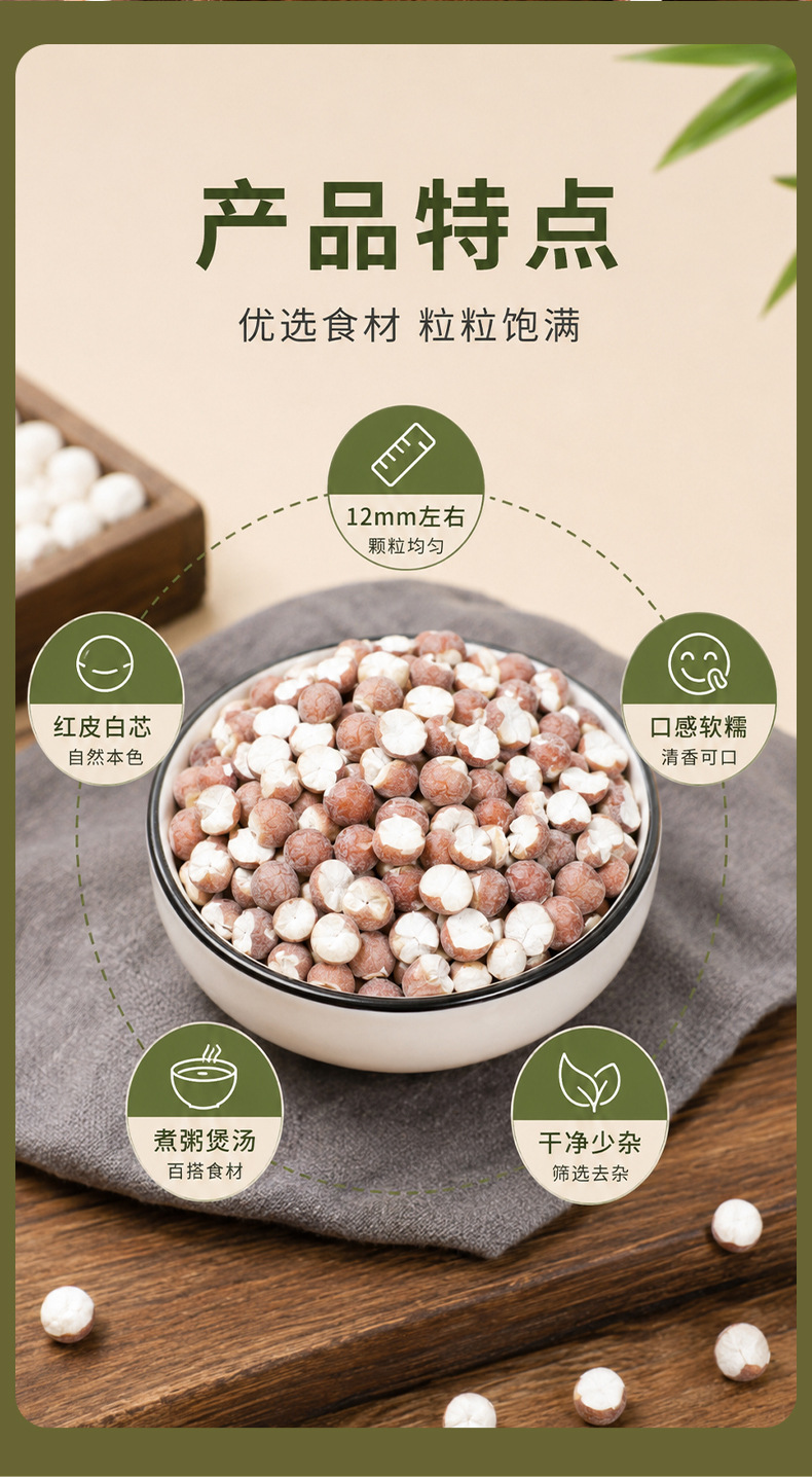 Organic Dried Gorgon Fruit Qian Shi 12mm Large Granules 500g Premium Red Skin Euryale Seeds quality and texture
