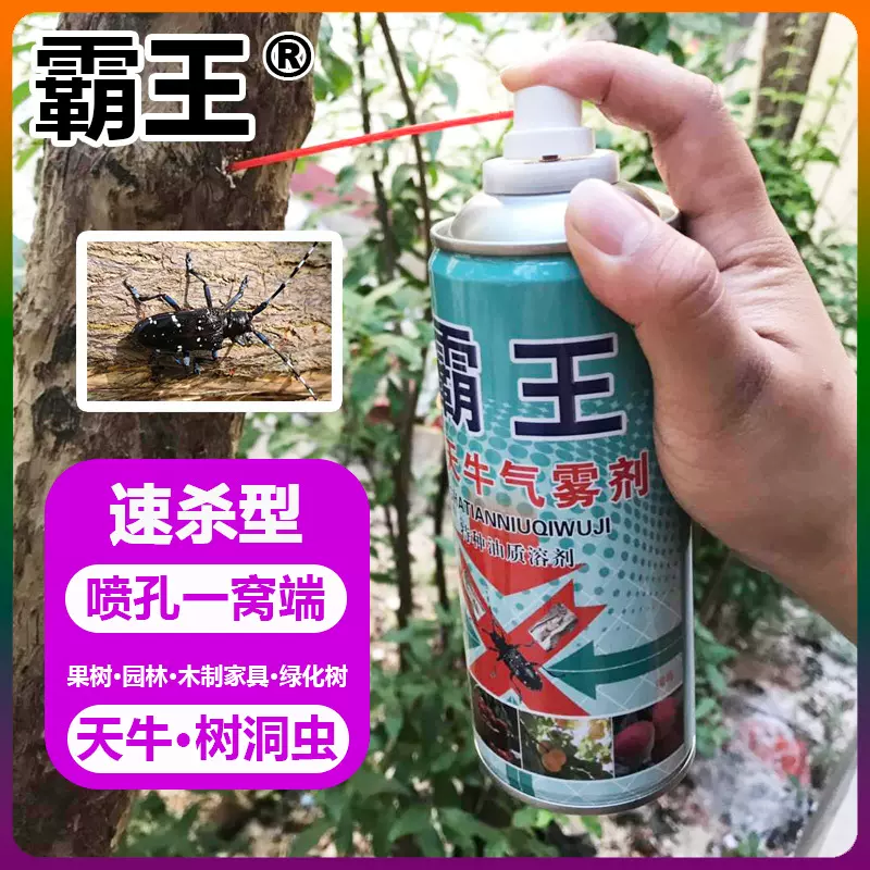 霸王杀天牛克星气雾剂大牙土天牛杀树洞虫农药园林果树绿化杀虫剂