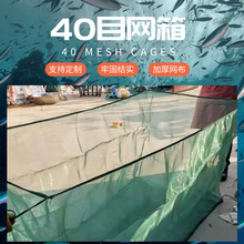 40Ŀˮ�a�W��S�ҹ����Bֳ���q�O�W�S�X�����з���W���r���ӾW��