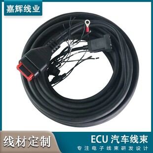 �S��ֱ�NECU 23PIN ��ˮ�B���� ECU��܇�������ư澀L=10��