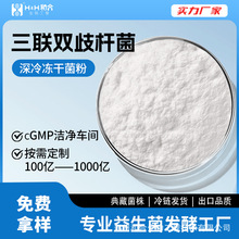 3�p��U�����p���L�p������p��߻����������ۏS��ֱ�N���Q