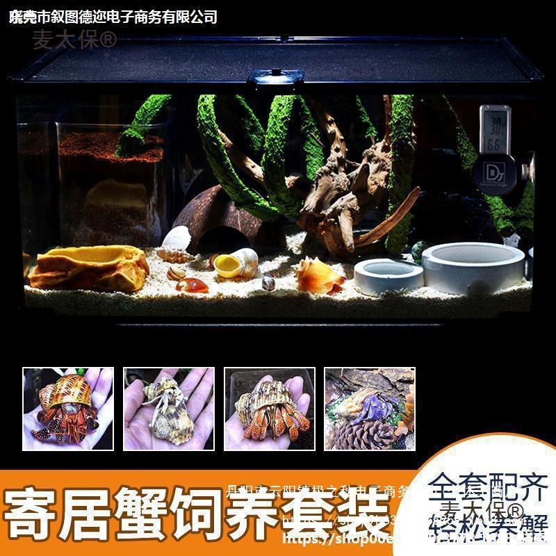 Набор для разведения метабо-крабов для начинающих с тематическим оборудованием для разведения наземных питомцев в живых условиях.