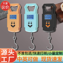 ポータブル計量グラムポータブル電子スケールグラム計量 50 キロ正確な電子スケールキッチン食品フック荷物スプリングスケール