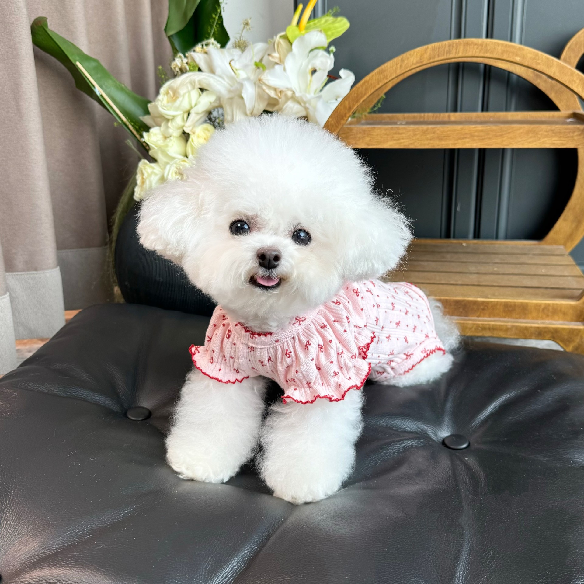 Ropa de mascotas otoño y invierno nuevo chaleco de manga de burbuja elástica todo incluido abrigo de abdomen para perros que osos Teddy ropa para el hogar