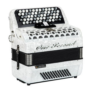 Factory direct sales of Bayan accordion children's adult 120 bass 96 bass 60 bass cross-border a generation of hair
