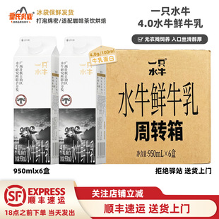 ������6�С�һֻˮţ4.0ˮţ�rţ��950ml���b�o�r����B��Ȼ�㴼