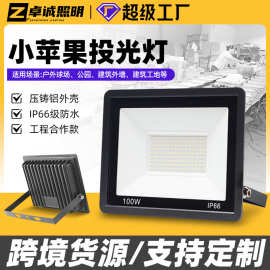led投光灯 超薄线性防水泛光灯100W小苹果户外庭院灯广告牌投光灯