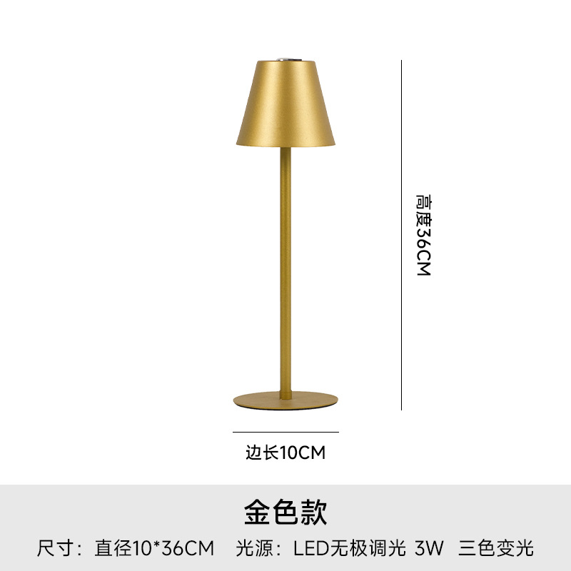 골드 + 삼색 라이트 + 충전기