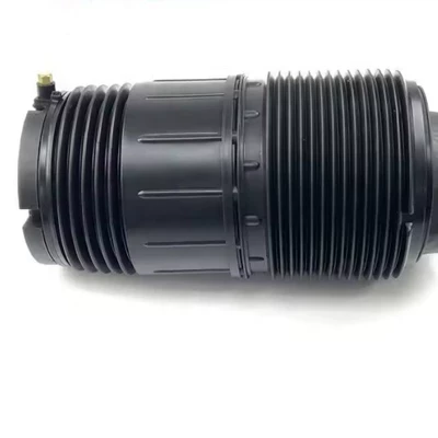 Rear Airbags, damping system