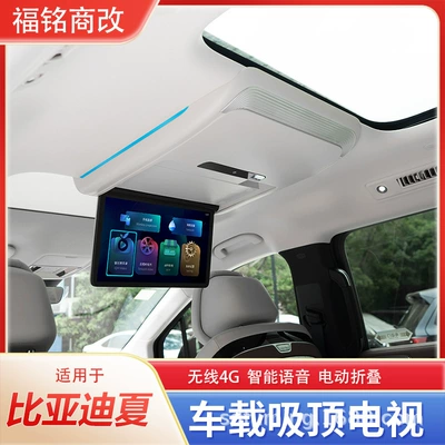 Projection Screen Modification and Upgrade – Car TV