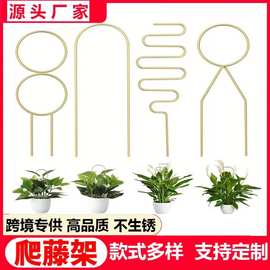 跨境专供园艺植物攀爬架金色花园阳台植物定型爬藤架植物固定杆