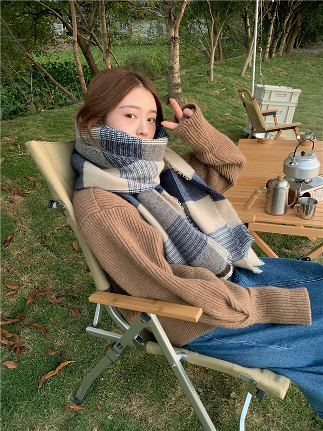 Sciarpa a quadri blu bianco super morbida per le donne in autunno inverno, spessa e calda, sciarpa in imitazione cashmere, coreana_voghion.com