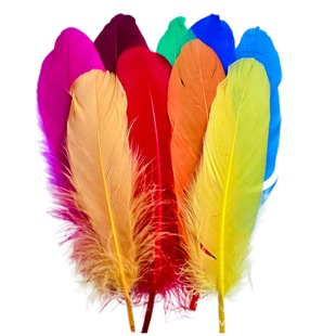 �S��ֱ�N��ɫ�ZëӲ���h15-20�����hë�Ʒ�������b��Zë����