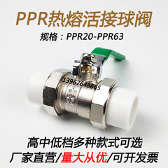 批發全銅ppr雙活接球閥水管管件配件4分20接頭熱熔6分25高溫開關