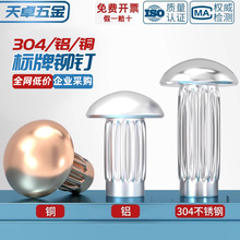 GB827不锈钢304标牌铆钉铝滚花铭牌铜商标实心铆钉M2M2.5M3M4M5mm
