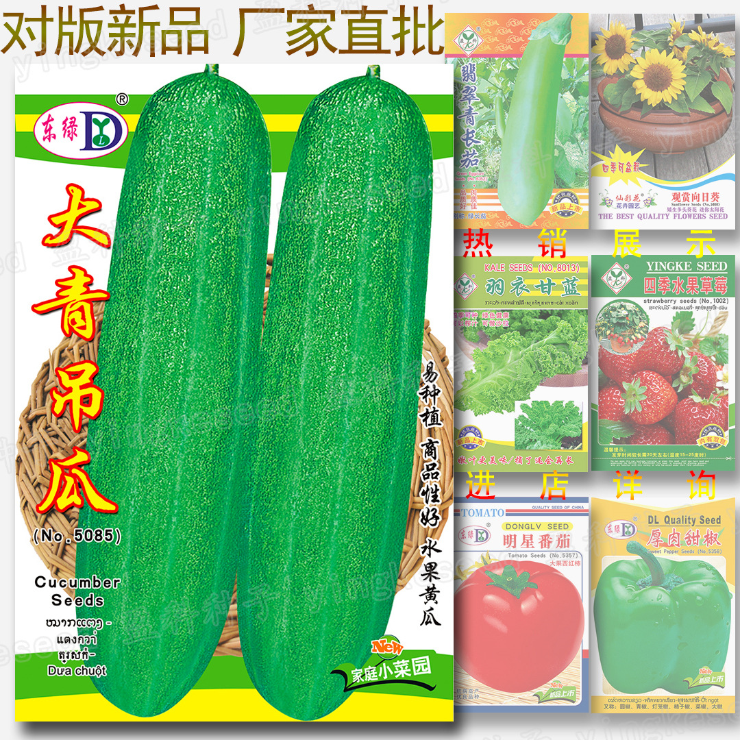 约30粒大青吊瓜种籽 易种 油绿大黄瓜花青大吊瓜胡瓜青瓜种子批发