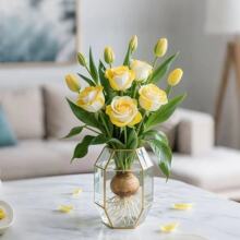 浓香型玫瑰花驱蚊虫好养水培耐寒热花卉办公室内绿植盆栽