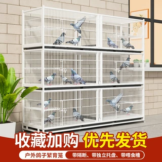 鸽子笼配对笼养殖加密鸽子笼繁育鸽子鸟笼室内加密宠物笼防老鼠