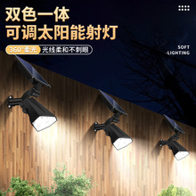 ¿pɫһw{̫26wǶ̫ͥԺͶ