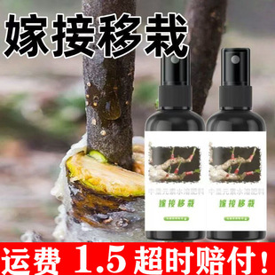 �޽Ӵٻ�Һֲ��������τ��޽�������������ľ�辰�пڌ������τ�