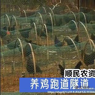 �����B�u�Bֳ�ߵ��u���õ��ܵ��Ƅ��������_�u�\��ɢ�B�u��