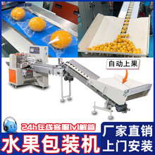 水果脐橙包装机橙子百香果沃柑保鲜膜套袋机香水柠檬罗汉果打包机