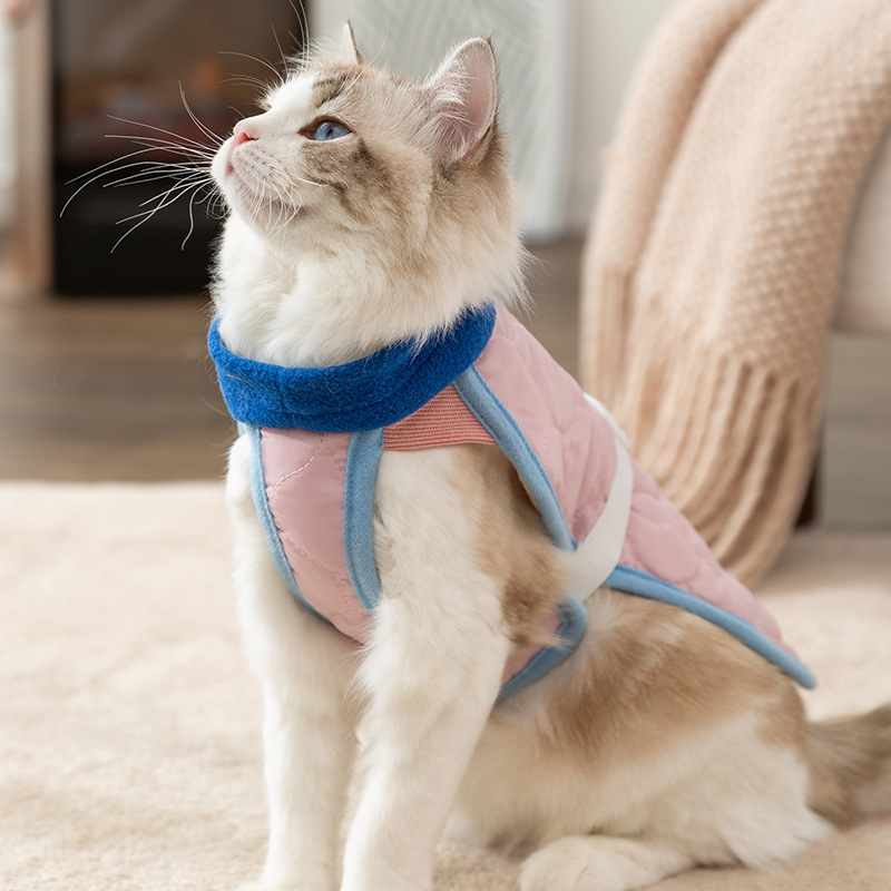 Primavera y otoño gato estilo coreano estilo casual chaleco acolchado chaleco ropa acolchada de algodón mediano y pequeño perro mascota ropa de peluche