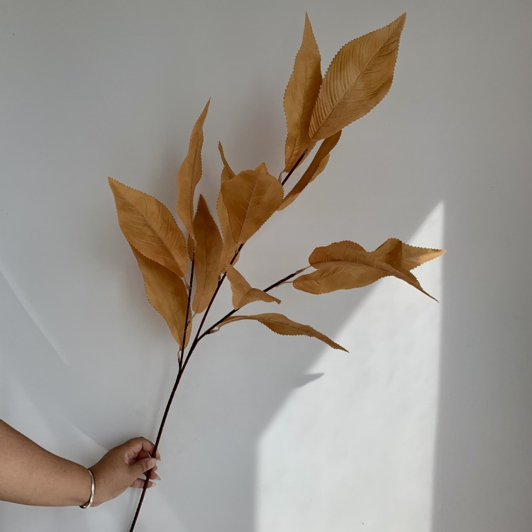 微信图片_20230920145011_副本